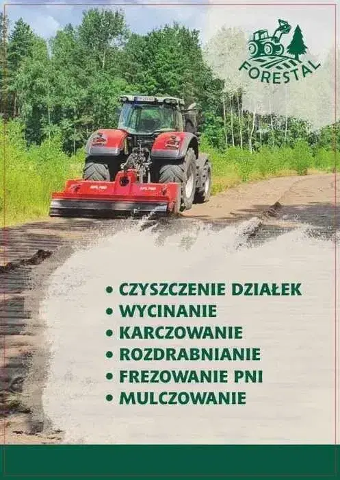 Wycinka Drzew Czyszczenie działek Mulczer Wgłębny Rekultywacja