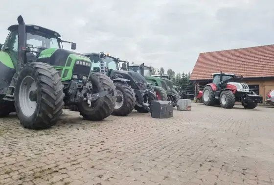 Karczowanie Wycinka drzew Mulczer Czyszczenie działek mulczowanie