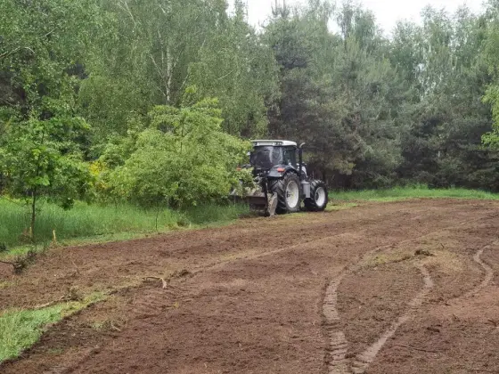 MULCZER LEŚNY oraz WGŁębny wycinka drzew czyszczenie działki pilar //+