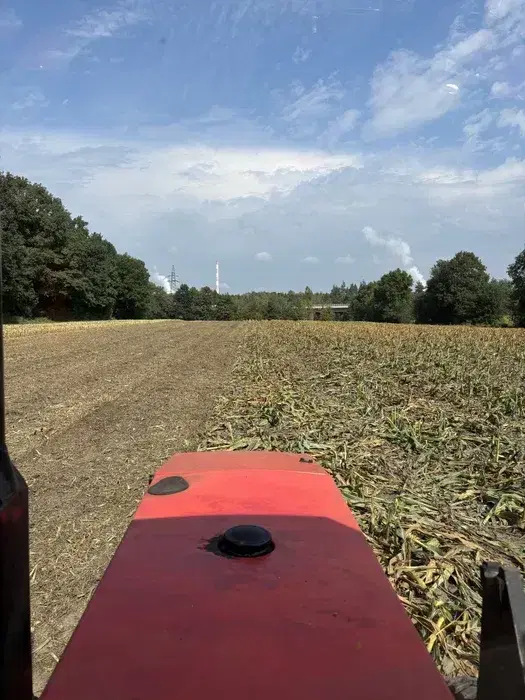 Usługi kosiarką bijakową