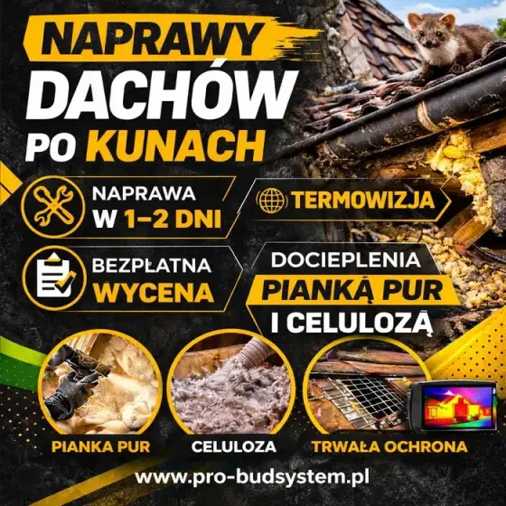 Docieplanie Pianką PUR Ocieplenie poddasza Izolacja Celuloza Kuna dach