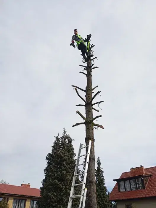 Koszenie kosą spalinową|Wycinka, przycinanie drzew i krzewów|Niskie c