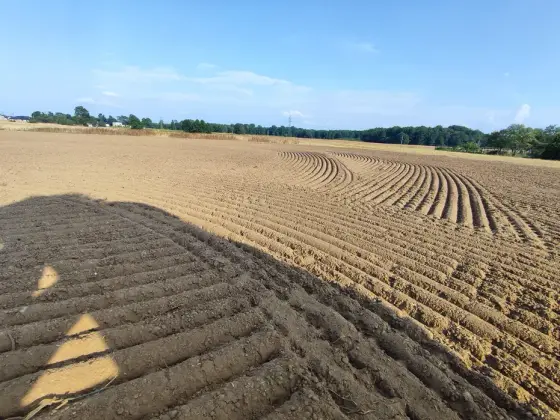 ZAKŁADANIE TRAWNików i ogrodów, glebogryzarka separacyjna, minikopark