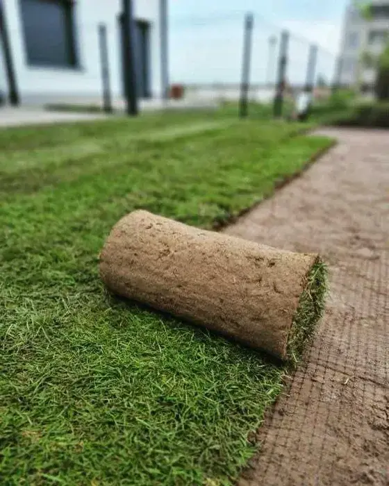 ZAKŁADANIE TRAWNika | pakiet "porządki w ogrodzie" | prace ogrodnicze