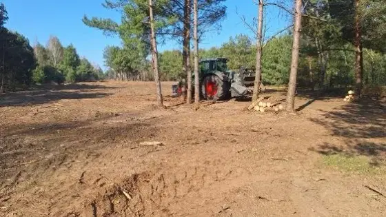 Mulczowanie Karczowanie Frezowanie Wycinka drzew Mulczer Leśny Wgłębny