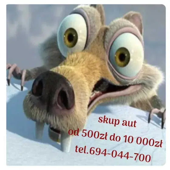 SKUP AUT szybko i bez marudzenia