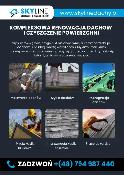 Mycie,malowanie dachów mycie czyszczenie ,impregnacja kostki