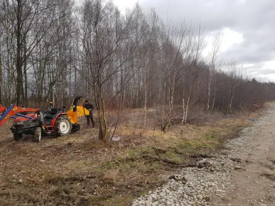 Wycinka samosiejek, czyszczenie działek, wycinka, porządkowanie terenu