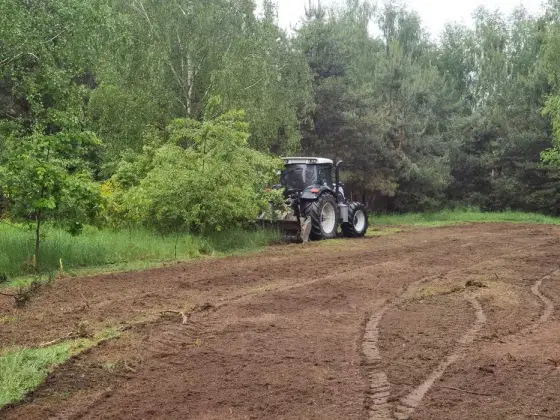 Mulczer leśny | Wycinka drzew | Mulczowanie | Karczowanie