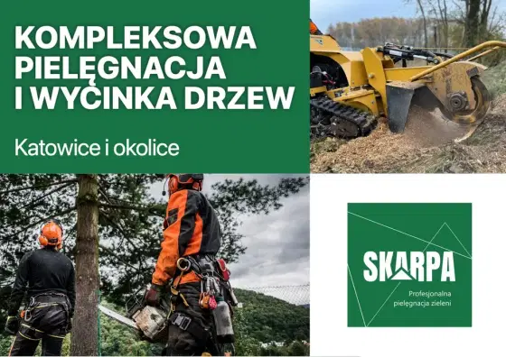 Wycinka drzew, rębakowanie gałęzi, frezowanie pni - Katowice