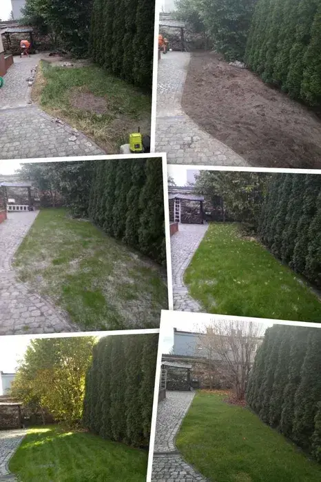 Wycinka drzew, karczowanie działek pod inwestycje, sekcyjna wycinka me