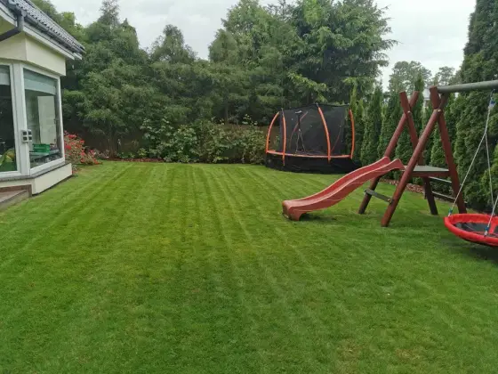 Koszenie trawy, rekultywacja trawników