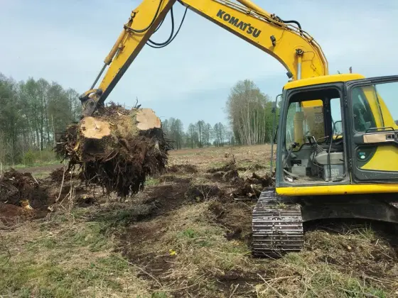 Usługi Koparką: Wyrywanie Karp, Karczowanie i Rekultywacja Pól