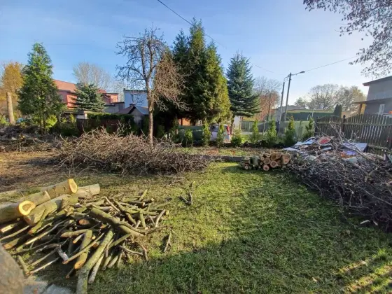 Wycinka drzew, koszenie trawy, pielęgnacja zieleni