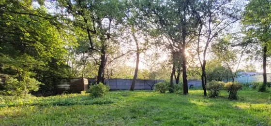 Koszenie trawników