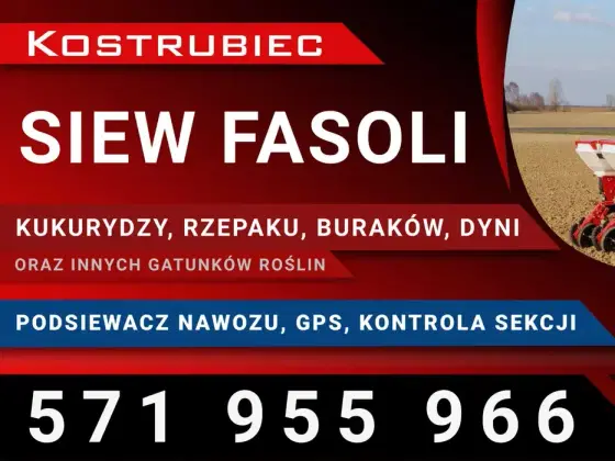 Siew punktowy - RTK, Podsiewacz nawozu - Fasola, Kukurydza, Dynia inne