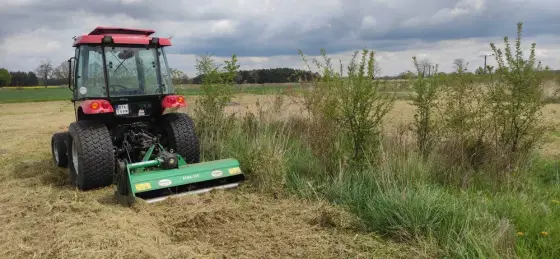 CZYSZCZENIE DZIAłek - koszenie - karczowanie - mulczowanie - do 50km.