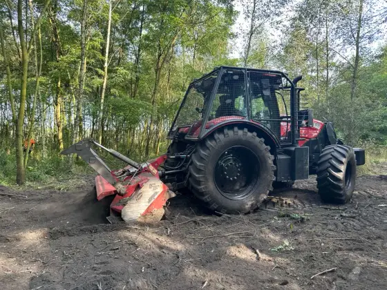 Usługa mulczowania i wycinki drzewa (mulczer leśny, frezarka do pni)