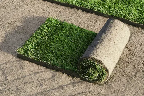 Zakładanie Trawnika z Rolki