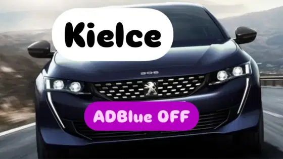 ADBlue DPF EGR FAP OFF klapy wirowe kielce staszów opatów dojeżdżamy
