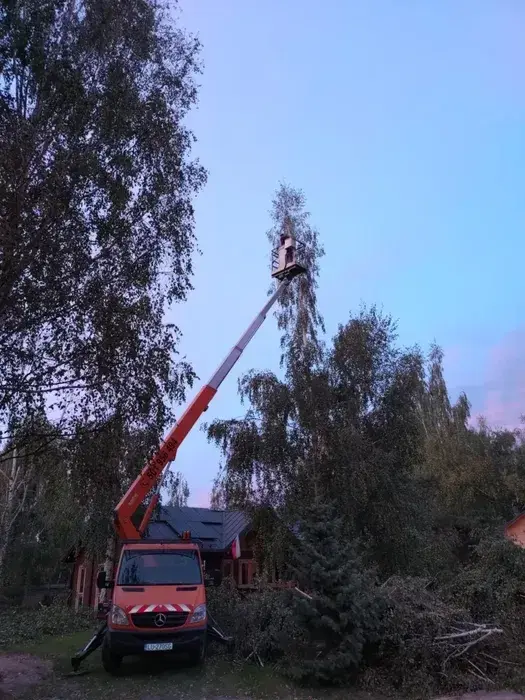 Wycinka - skracanie -pielęgnacja drzew, prace na wysokości