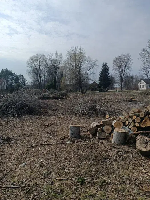 Porządkowanie działek i ogrodów, wycinka drzew