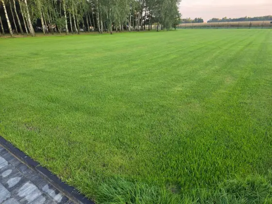 Zakładanie trawników nawodnienia nasadzenia przygotowanie terenu niwel