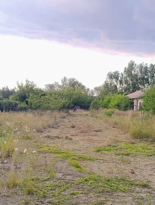 Czyszczenie działek, koszenie zarośli, wycinka drzew, prace ogrodowe