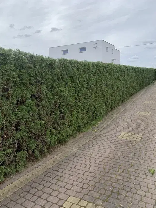 Pielegnacja ogrodów