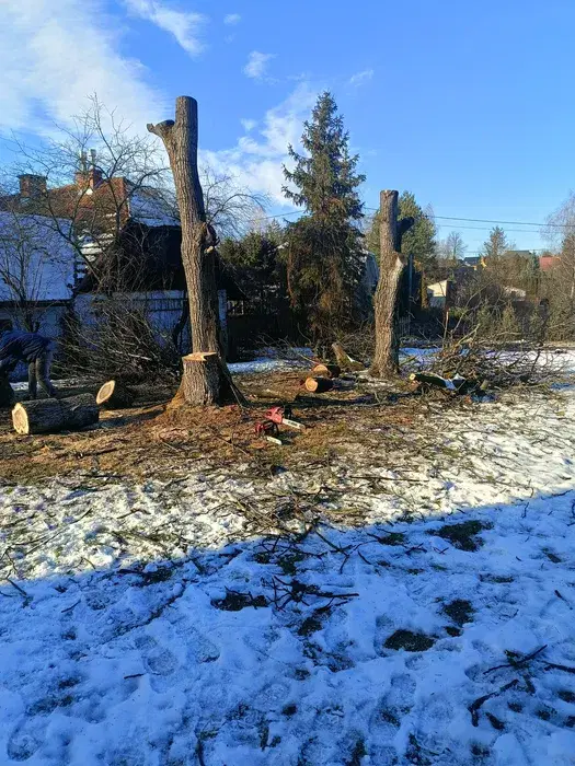 Wycinka drzew, usługi ogrodnicze.