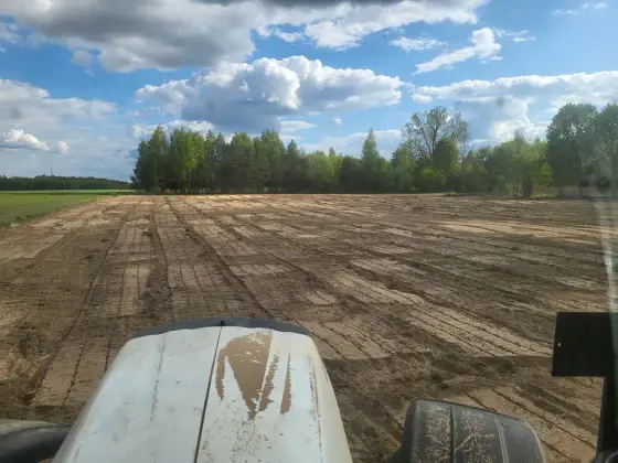 Mulczowanie, frezowanie, nieużytków, terenów po wycince