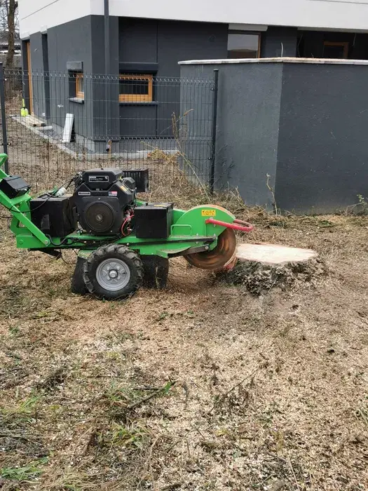 Frezowanie pni Wrocław Tel 724.62.62.62