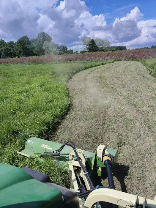Koszenie traw, mulczowanie nieużytków, przygotowanie terenu pod trawni