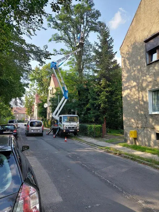 Frezowanie pni Przycinanie,wycinanie drzew usługi podnośnikiem zwyżka